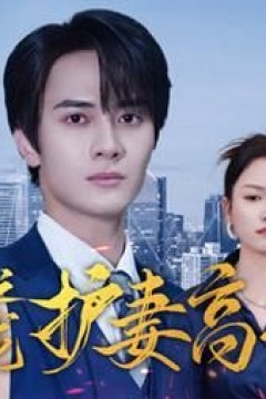 隐龙之护妻高手