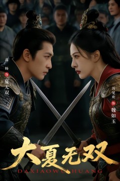 大夏无双