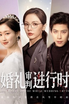 婚礼审判进行时