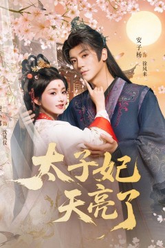 太子妃天亮了