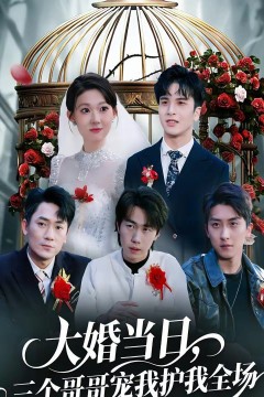 大婚当日，三个哥哥宠我护我全场