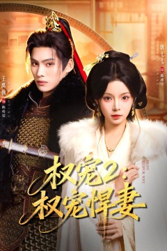 权宠2：权宠悍妻