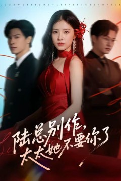 陆总别作，太太她不要你了