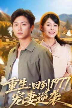 重生：回到1977当奶爸
