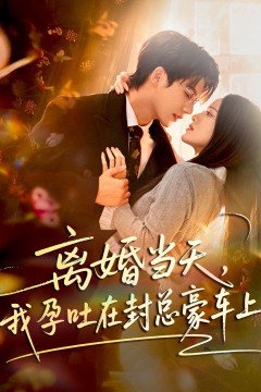 离婚当天，我孕吐在封总豪车上