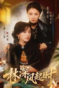 林深风起时