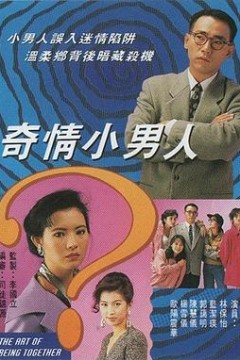 奇情小男人国语版