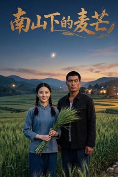 南山下的麦芒