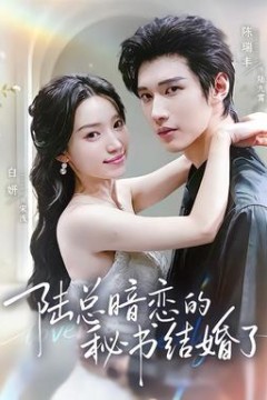 陆总暗恋的秘书结婚了