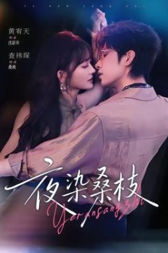 夜染桑枝