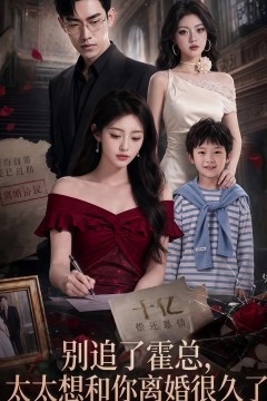别追了霍总，太太想和你离婚很久了