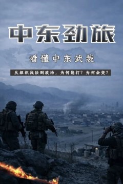中东劲旅看懂中东武装