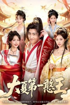 大夏第一憨王