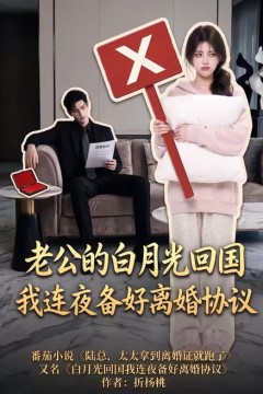 老公的白月光回国我连夜备好离婚协议